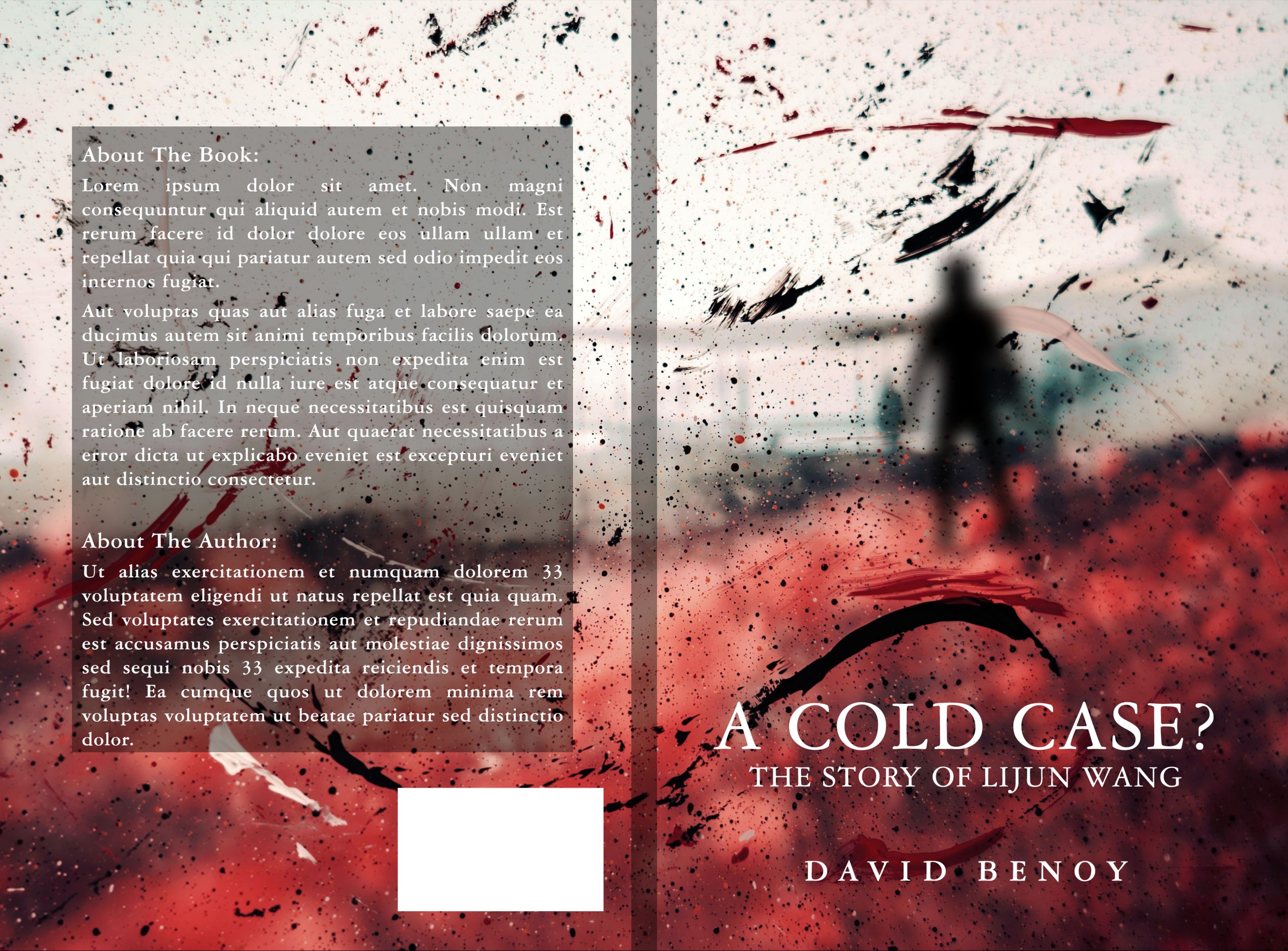 David_Benoy_-_Book_Cover